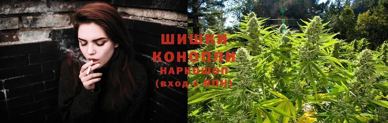 Бошки марихуана THC 21%  omg онион  Верхнеуральск 